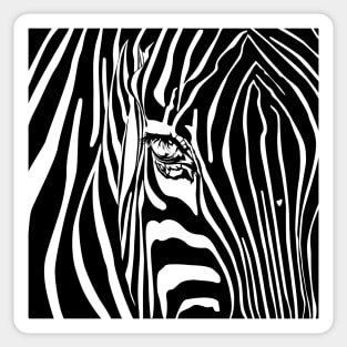 Zebra pattern Sticker